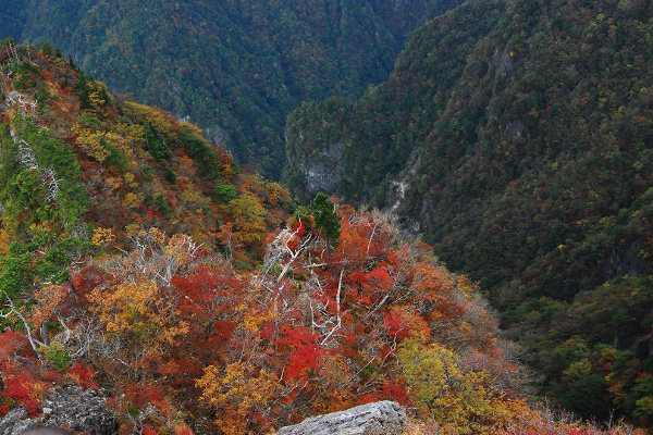 大台ケ原