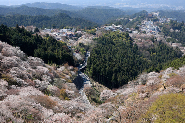 吉野山